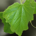 455001_20180207150036_01.JPG