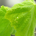 455001_20180207150101_01.JPG