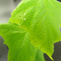 455001_20180207150117_01.JPG