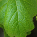 455001_20180207150142_01.JPG