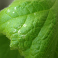 455001_20180207150147_01.JPG