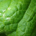 455001_20180207150156_01.JPG