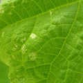 455001_20180207150208_01.JPG