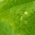 455001_20180207150211_01.JPG