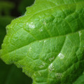 455001_20180207150224_01.JPG