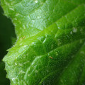 455001_20180207150926_01.JPG