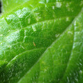 455001_20180207150930_01.JPG
