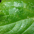 455001_20180207150934_01.JPG