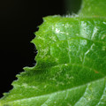 455001_20180207150939_01.JPG