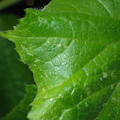 455001_20180207150942_01.JPG