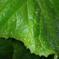 455001_20180207150946_01.JPG