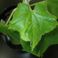 455001_20180207150955_01.JPG