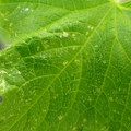 455001_20180207151024_01.JPG