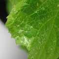 455001_20180207151036_01.JPG