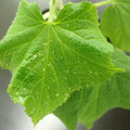 455001_20180207151114_01.JPG