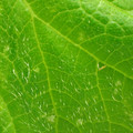 455001_20180207151129_01.JPG
