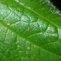 455001_20180207151142_01.JPG