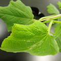 455001_20180207151314_01.JPG