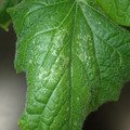 455001_20180207151424_01.JPG