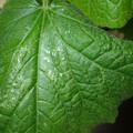 455001_20180207151428_01.JPG