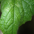 455001_20180207151430_01.JPG