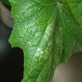 455001_20180207151432_01.JPG