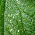 455001_20180207151447_01.JPG