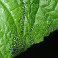 455001_20180207151455_01.JPG