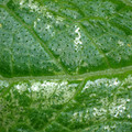 455001_20180207151518_01.JPG