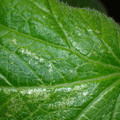 455001_20180207151522_01.JPG
