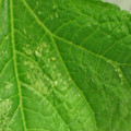 455001_20180207151557_01.JPG