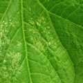 455001_20180207151559_01.JPG
