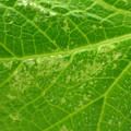 455001_20180207151604_01.JPG