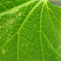 455001_20180207151607_01.JPG