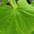 455001_20180207151615_01.JPG