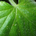 455001_20180207151626_01.JPG