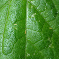 455001_20180207151635_01.JPG