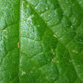 455001_20180207151637_01.JPG