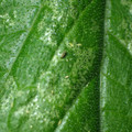 455001_20180207151646_01.JPG