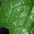 455001_20180207151651_01.JPG