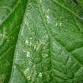 455001_20180207151659_01.JPG