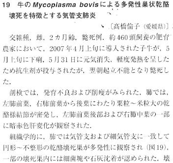 Mycoplasma bovisɂ鑽󊣗󎀂ƂCǎxx