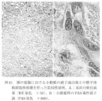 ؂̉̏ɂɎqH̏oƒ؍זEj𔺂ǐ