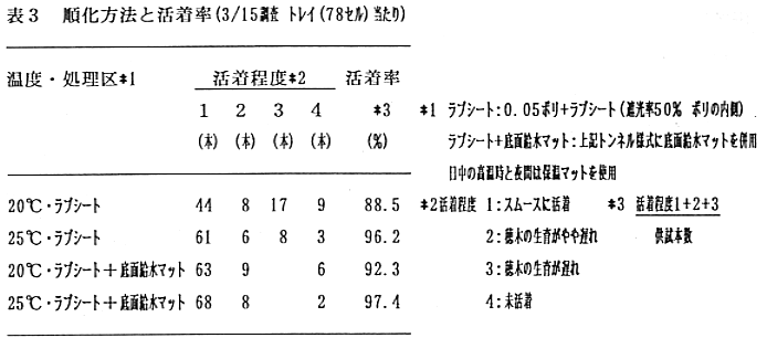 キュウリの簡易な接ぎ木法