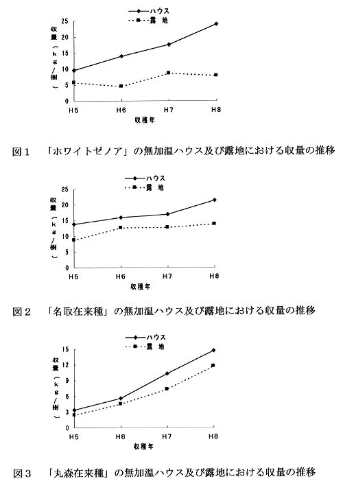 イチジクの無加温ハウス栽培