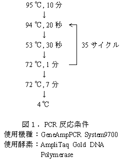 サテライト マイクロ