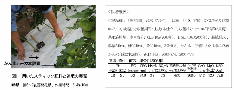 トマト雨よけ夏秋栽培におけるスティック肥料の追肥効果