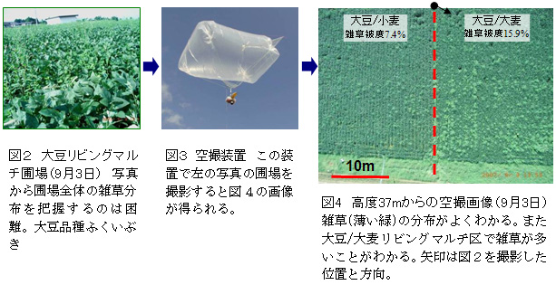 図2 大豆リビングマルチ圃場(9月3日)/ 図3 空撮装置/ 図4 高度37mからの空撮画像(9月3日)