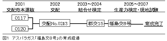 萌芽が早く 収量性が高い 若茎色が紫色のアスパラガス新品種 福島交８号