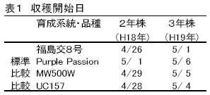 萌芽が早く 収量性が高い 若茎色が紫色のアスパラガス新品種 福島交８号